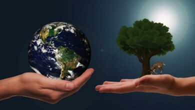 balancing-economic-growth-with-environmental-responsibility